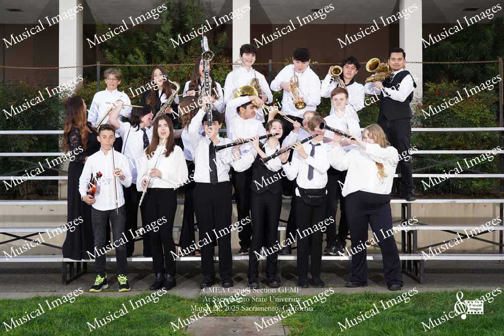 Musical Images